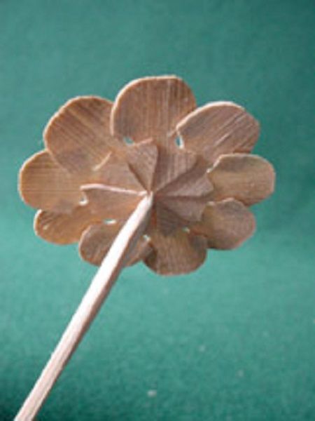 Parasol