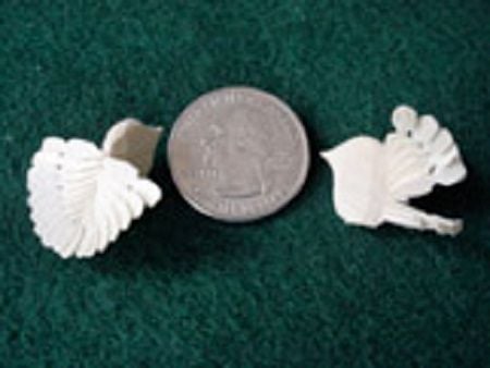 Dove-of-Peace